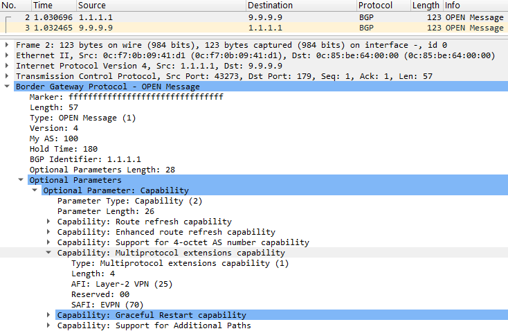 cap-evpn-mpls-bgp-open